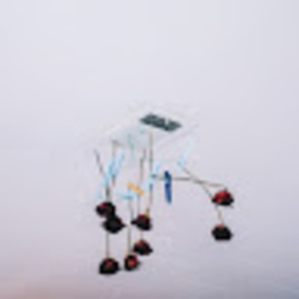 Meet your Posher, Gabriella